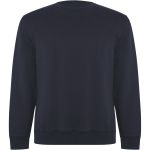 Batian unisex crewneck sweater, Navy Blue (R10711R)