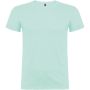 Beagle short sleeve men's t-shirt, Mint