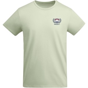 Breda short sleeve kids t-shirt, Mist Green (T-shirt, 90-100% cotton)