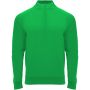 Epiro long sleeve kids quarter zip sweatshirt, Green Fern