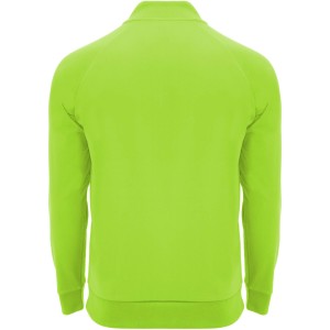 Epiro long sleeve unisex quarter zip sweatshirt, Fluor Green (Pullovers)