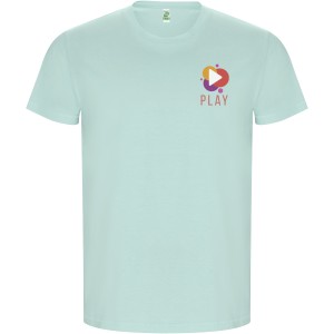 Golden short sleeve men's t-shirt, Mint (T-shirt, 90-100% cotton)