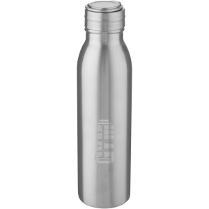 Harper 700 ml stainless steel sport bottle with metal loop,  (Water bottles)