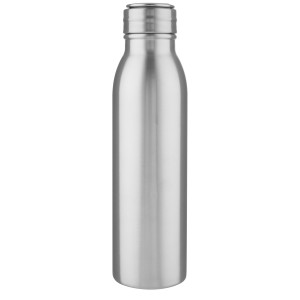 Harper 700 ml stainless steel sport bottle with metal loop,  (Water bottles)