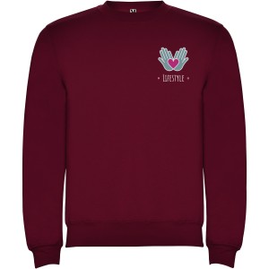 Clasica unisex crewneck sweater, Garnet (Pullovers)