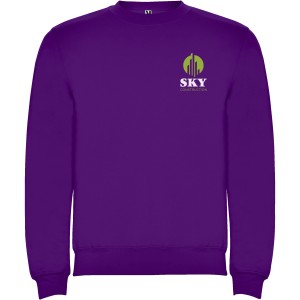 Clasica unisex crewneck sweater, Purple (Pullovers)
