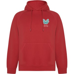 Vinson unisex hoodie, Red (Pullovers)