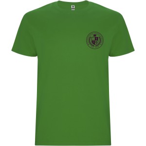 Stafford short sleeve men's t-shirt, Grass Green (T-shirt, 90-100% cotton)