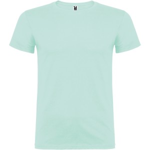 Beagle short sleeve men's t-shirt, Mint green