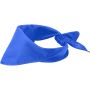 Heracles bandana, Royal blue