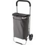 Polyester (320-330 gr/m2) cooler, shopping trolley Susanita,