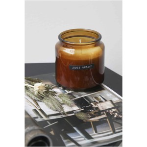 Wellmark Let's Get Cozy 650 g scented candle - cedar wood fr (Candles)